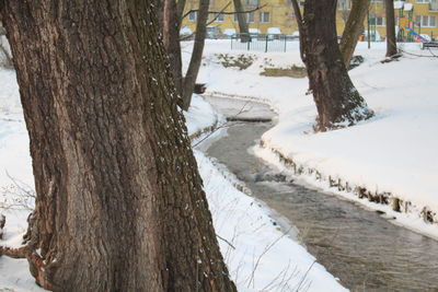 Scenic view of trees during winter