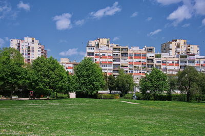 Trees growing on field by buildings against sky