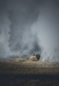 An old man was among a pile of burning hay