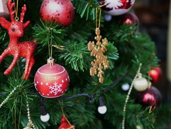 Close-up of christmas decoration hanging on tree