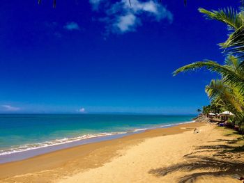 Scenic view of beach against blue sky