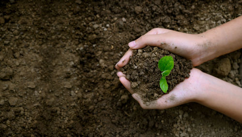 Midsection of woman holding hand in mud