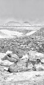 Garbage on beach against sky