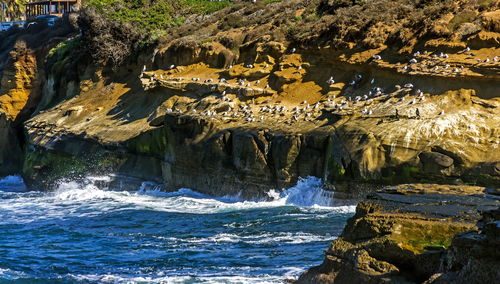 On beach near ocean during daytime at la jolla in san diego,united states.