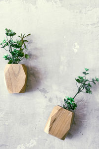 High angle view of potted plant on table