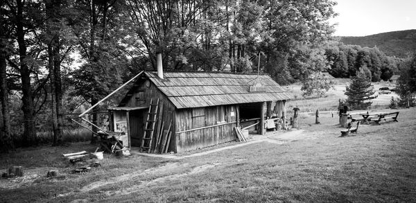 House with trees in background