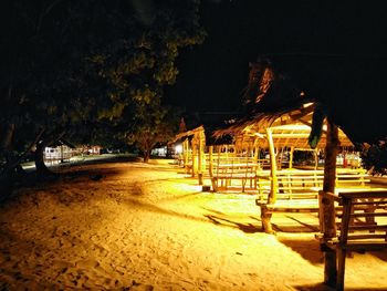 Illuminated trees at night