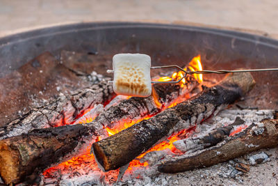 Toasting marshmallows over campfire in the summertime