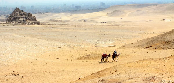 Distance view of man riding camel at desert