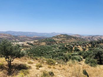 Scenic view of landscape against clear blue sky