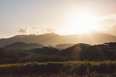 Scenic view of field against sky during sunset