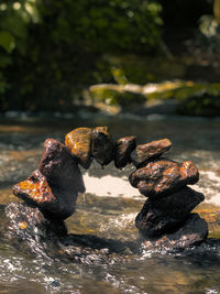 Close-up of stones on rock by river