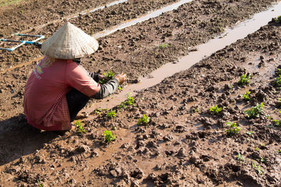 Rear view of woman working on field