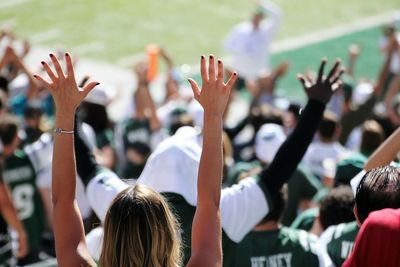 Crowd with arms raised at stadium