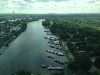 Reflection of trees in sea
