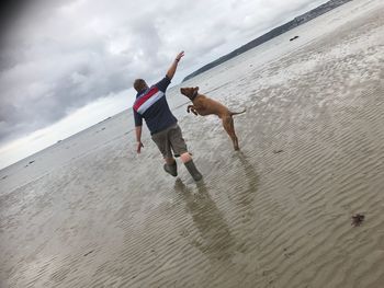 People enjoying on beach against sky