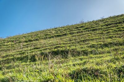 Low angle view of green landscape against clear sky