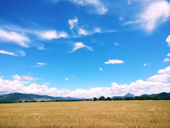 Scenic view of agricultural field against blue sky