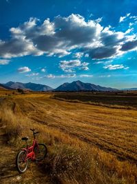 Man riding bicycle on field