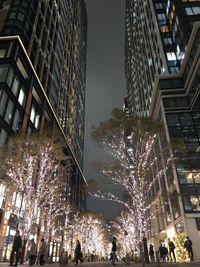 Low angle view of illuminated buildings in city at night