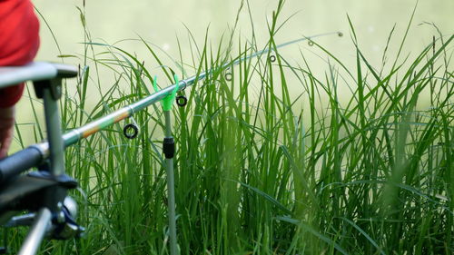 Close-up of bicycle on field