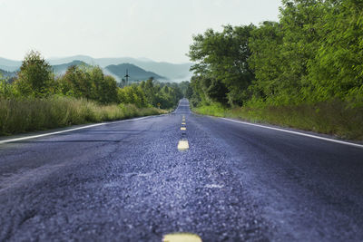 Surface level of road along trees