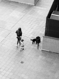 High angle view of people walking on zebra crossing