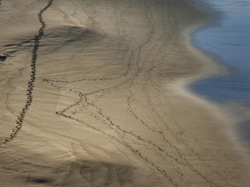 High angle view of sand dune