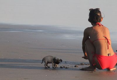 Rear view of woman in bikini crouching by puppy at beach