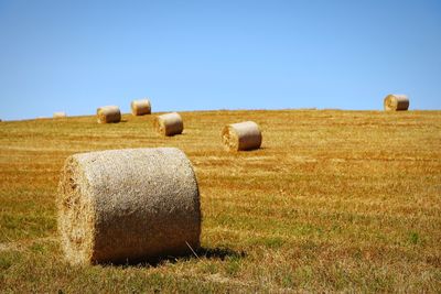 Hay bales on field against clear sky