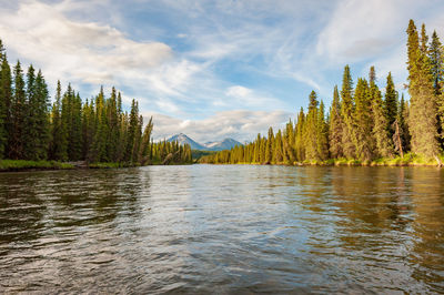 Scenic view of lake in forest against sky