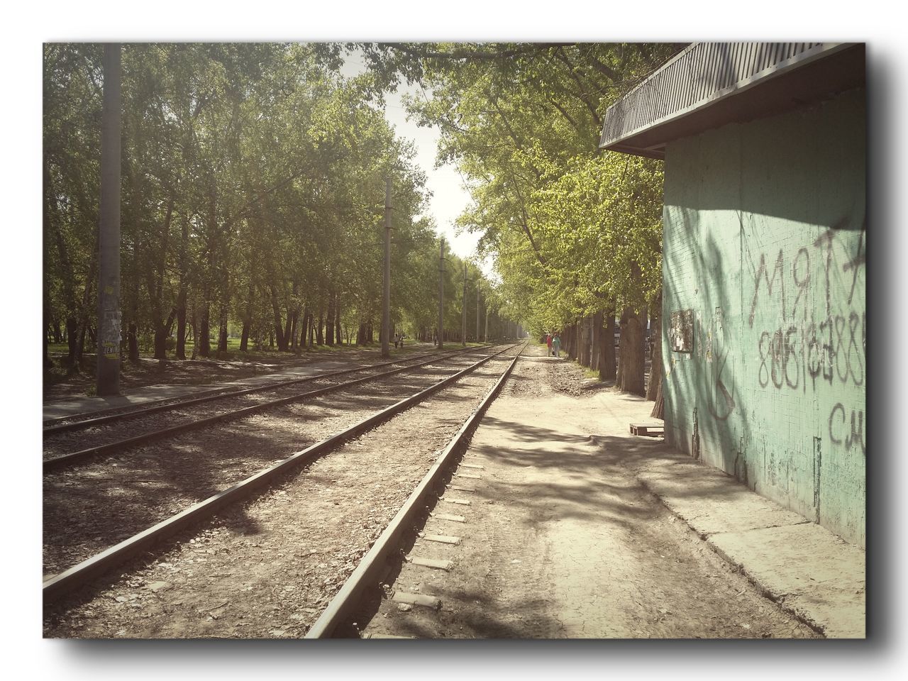 the way forward, diminishing perspective, vanishing point, transfer print, tree, built structure, railroad track, architecture, auto post production filter, transportation, long, clear sky, day, outdoors, building exterior, no people, surface level, narrow, railing, walkway