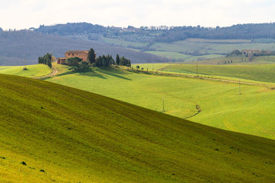 Scenic view of farm against sky