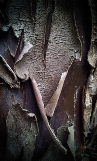 Detail shot of concrete wall