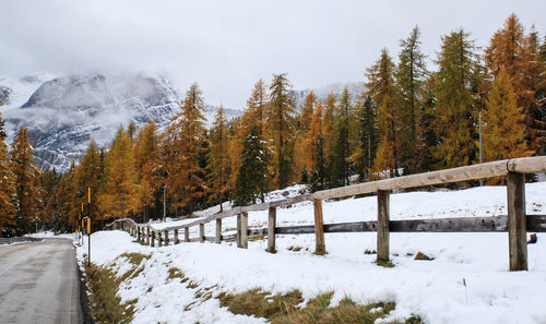 Snow covered field