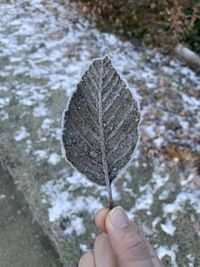 Close-up of hand holding water