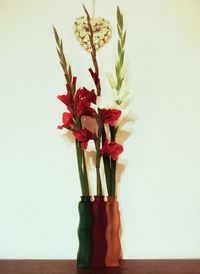 Close-up of flowers over white background