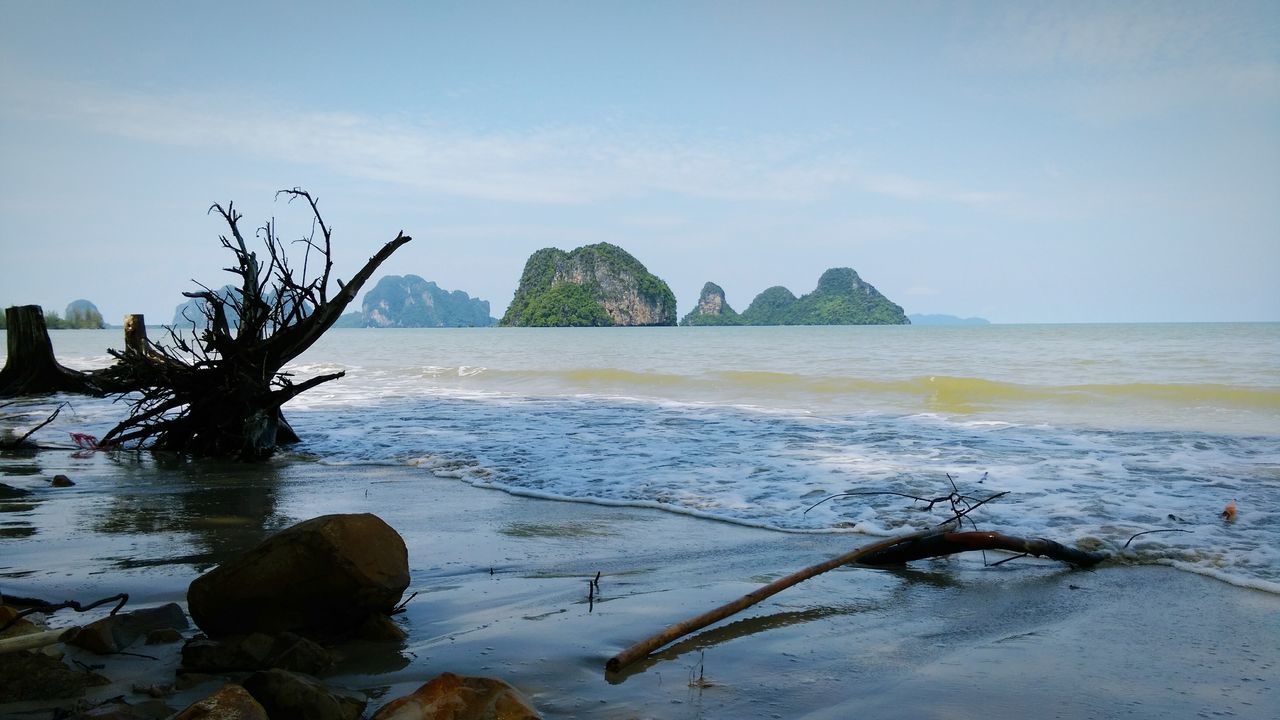 water, tranquil scene, tranquility, sea, scenics, sky, beach, beauty in nature, nature, shore, rock - object, tree, horizon over water, rock formation, sand, branch, idyllic, day, coastline, no people