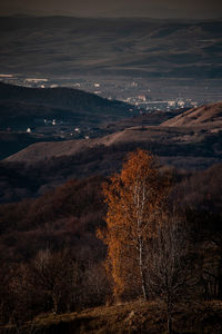 Aerial view of landscape against sky