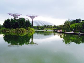 Reflection of trees in river