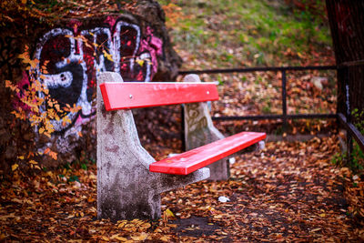 Empty wooden bench in park during autumn