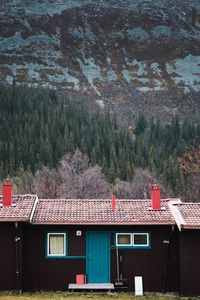 Houses and trees on mountain