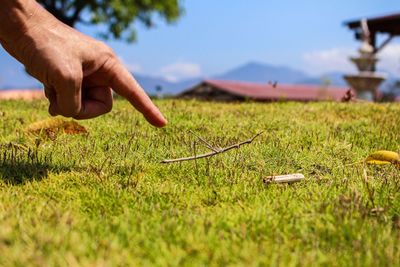 Cropped hand of man pointing over field