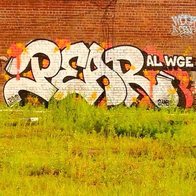 graffiti, text, western script, built structure, communication, architecture, wall - building feature, art, grass, creativity, art and craft, yellow, building exterior, outdoors, day, capital letter, brick wall, field, street art, no people