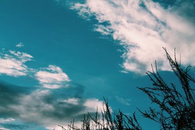 Low angle view of bare trees against cloudy sky