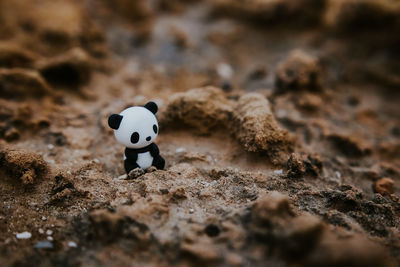 High angle view of toy panda on sand at desert