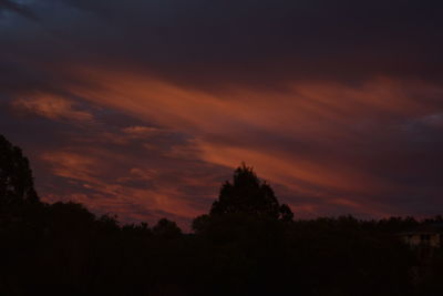 Silhouette of trees at sunset