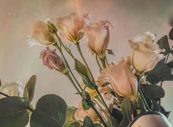 Low section of woman holding flowers