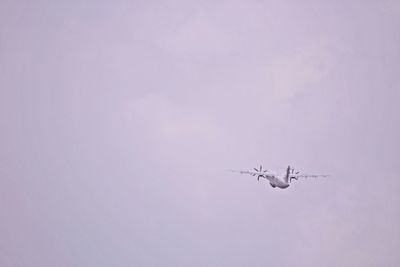 An airplane taking off in a cloudy day