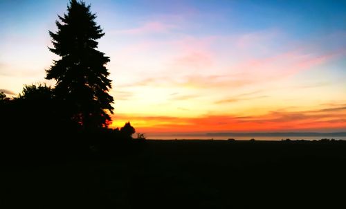 Silhouette tree on field against orange sky
